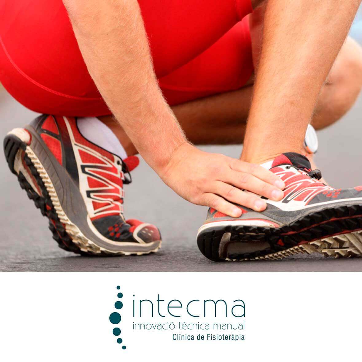 intecma publi